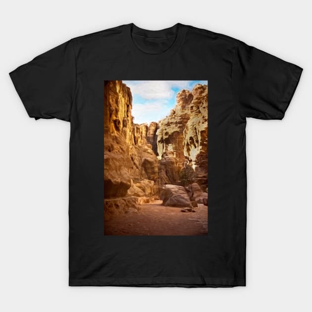 The Road Into Petra T-Shirt by IanWL